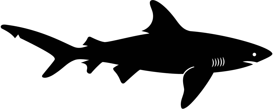 SharkZone